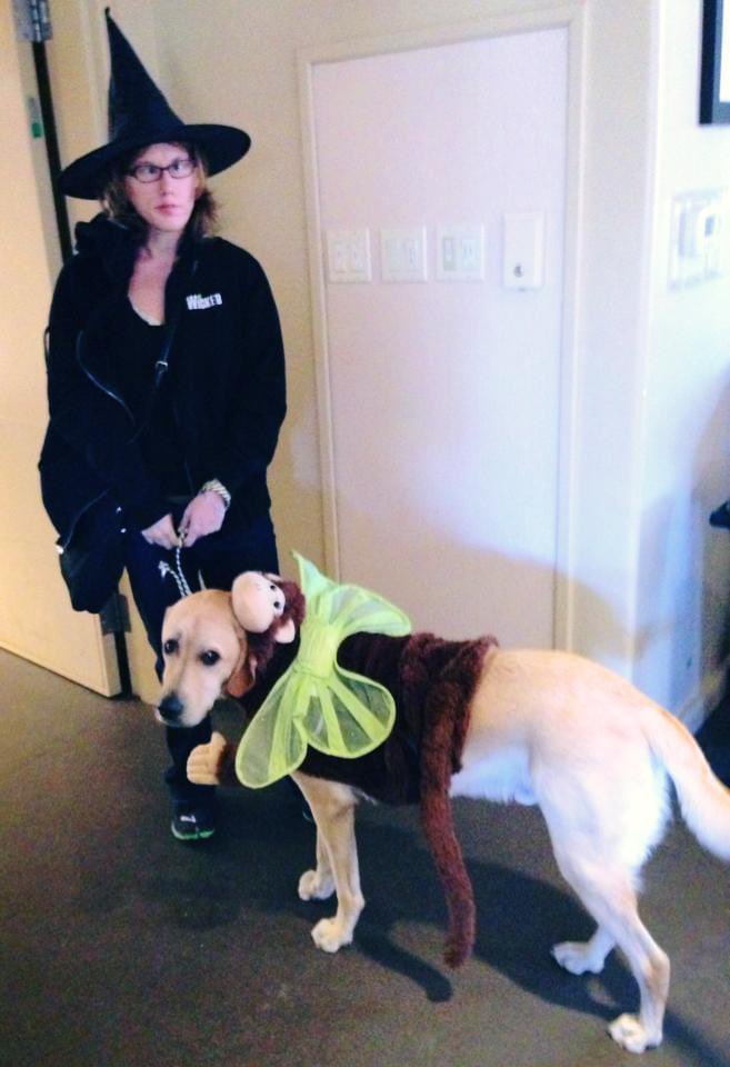 Facebook memory reminding me that this <a href="/WICKED_Musical/">Wicked the Musical</a> 🙊 🧙‍♀️ won the <a href="/canineorg/">Canine Companions®</a> costume contest 10 years ago today. Insert joke about time flying, like a flying monkey…