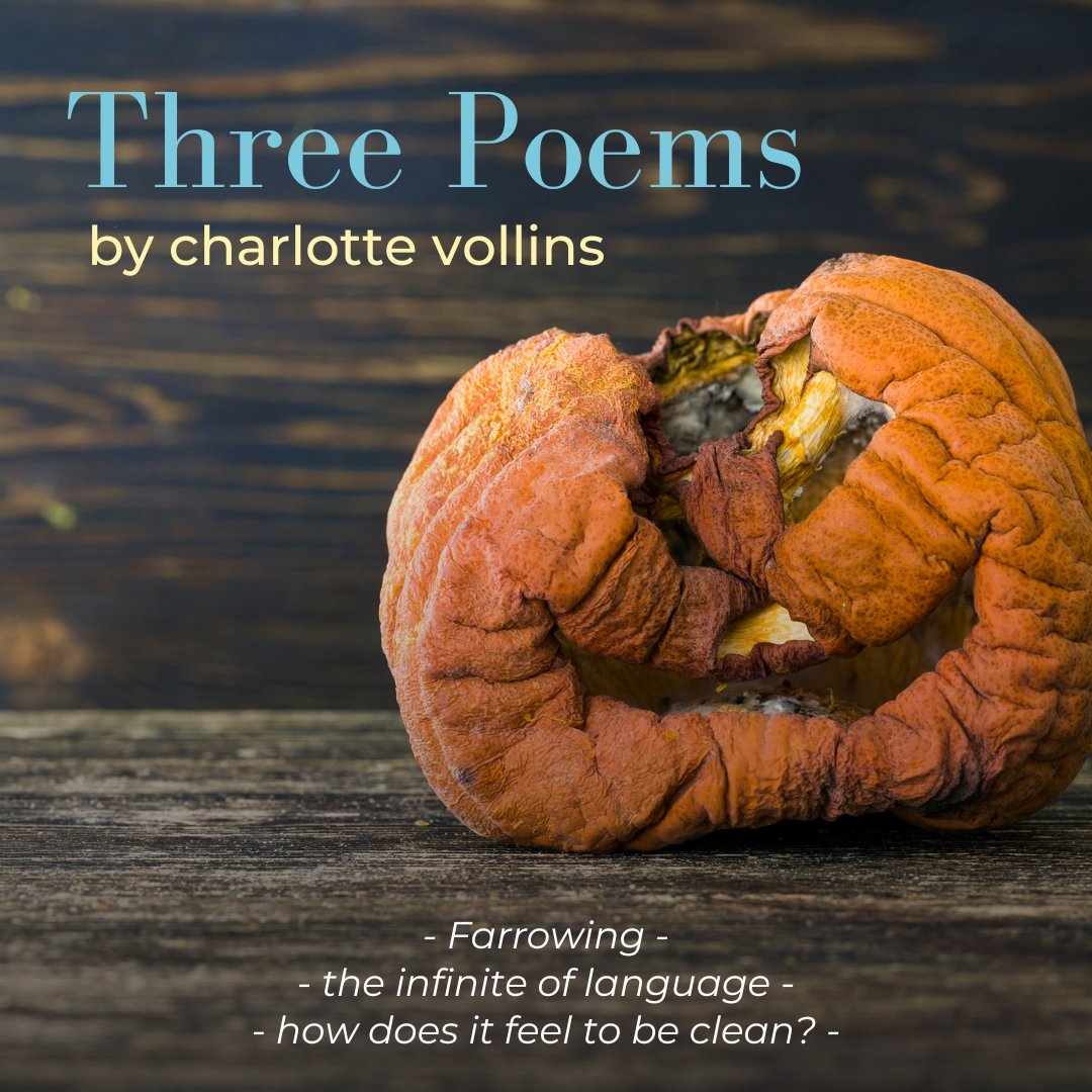 Unfortunately, Literary Magazine tweet media