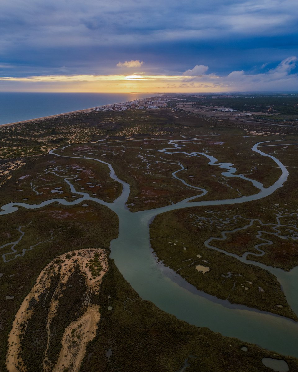 rafaelsanexp's tweet photo. Con las marismas nace la vida en estos días de lluvia. #Huelva #lepe #Andalucia @NatGeoEspana @tiempobrasero @MdT_TVE https://t.co/UZP0YdkQ9d