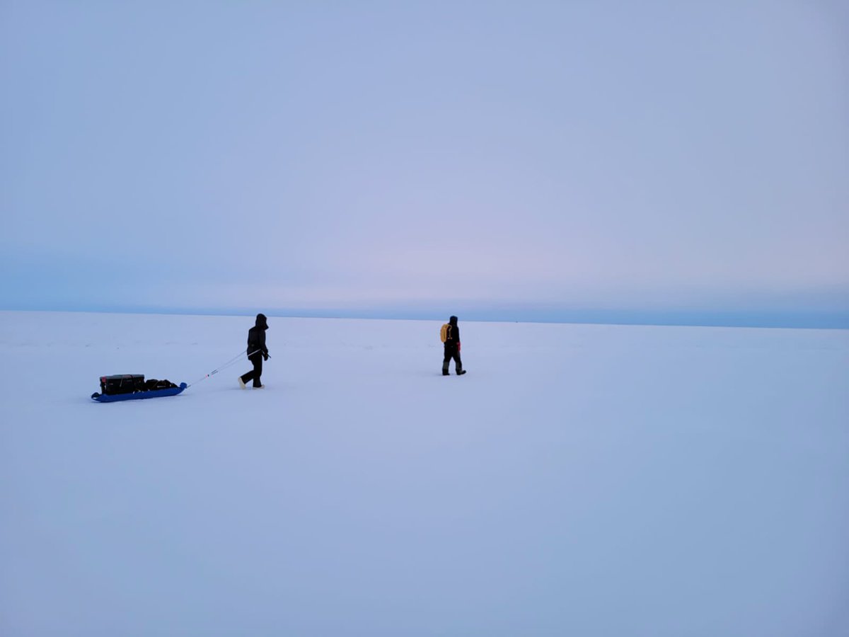 Jack Tarricone tweet media