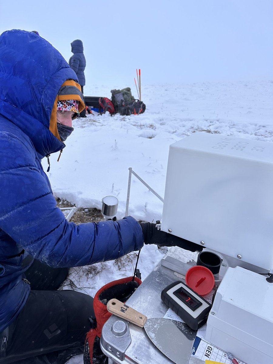 Jack Tarricone tweet media