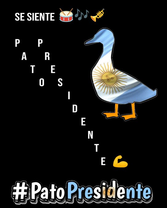 EnricoColanton_'s tweet photo. Sigue subiendo en las encuestas, no la pueden parar y no lo pueden ocultar!!! Es Patricia el domingo!! 👏👏 https://t.co/6b3wX0RAdL