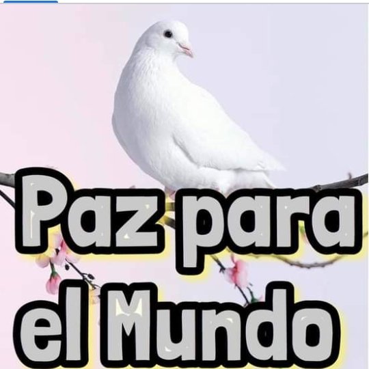 <a href="/EVilluendasC/">Enrique Villuendas</a> <a href="/agnes_becerra/">Agnes Becerra</a> <a href="/AdrianaRojasQba/">Adriana</a> <a href="/AlmaguerPerdomo/">Emilio Almaguer Perdomo</a> <a href="/anisleyfuentes1/">Anisley Fuentes Crespo</a> @chamberohoy <a href="/ShadowsOfGreys/">Greys Gómez</a> <a href="/MiguelGreyAcua1/">🇨🇺Miguel Grey Acuña🇨🇺</a> <a href="/yordanyhabana/">𝐘𝐨𝐫𝐝𝐚𝐧𝐲𝐇𝐚𝐛𝐚𝐧𝐚 🇨🇺🇻🇪🇳🇮🇵🇸</a> <a href="/RojoDCorazn1/">Cubano Rojo ☭🇨🇺</a> <a href="/Daniela_Cuba1/">Daniela Méndez 🇨🇺</a> #CubaPorLaPaz 🕊🇨🇺
#FreePalestine 🕊