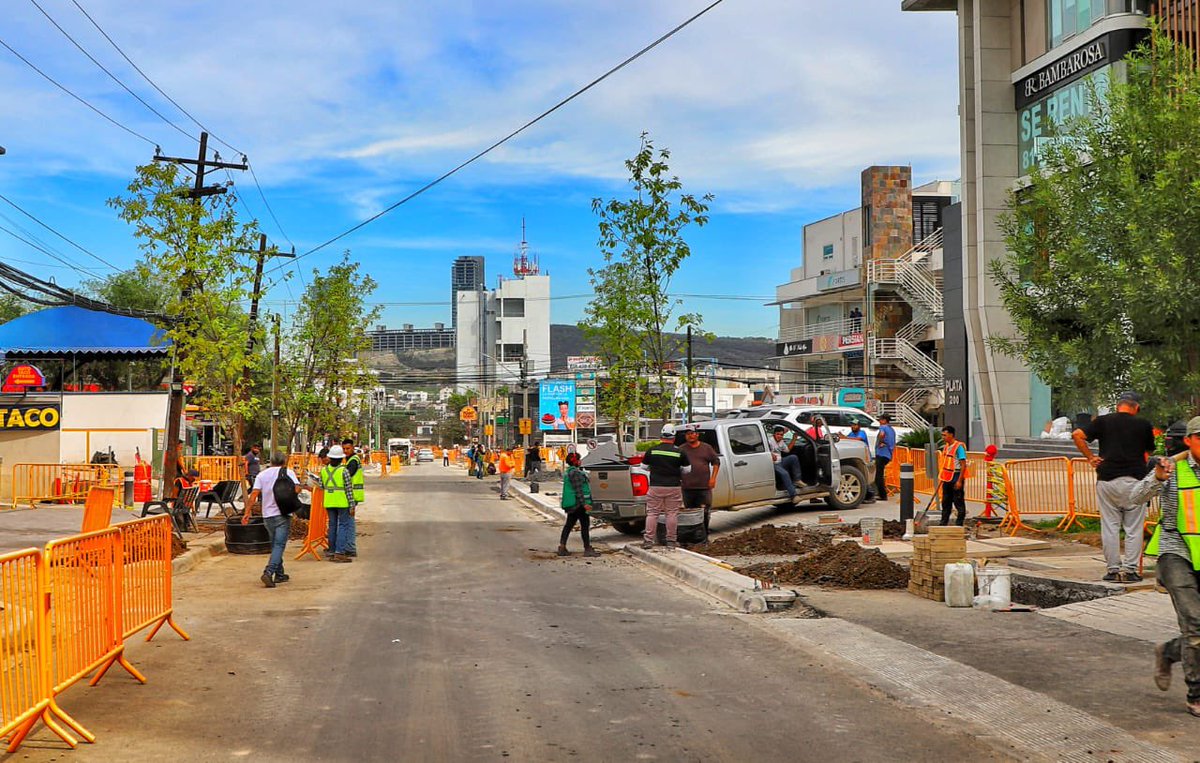 SanPedroNL's tweet photo. ¡Llegan los primeros árboles encinos robles de la región a las calles del renovado #DistritoCentroValle! 🌳🌳🌳

Estos árboles soportan los extremos del clima local y necesitan menos agua para sobrevivir.

¡Listos para darte aire limpio, sombra y reducir la temperatura! https://t.co/ldoMAZKlDy