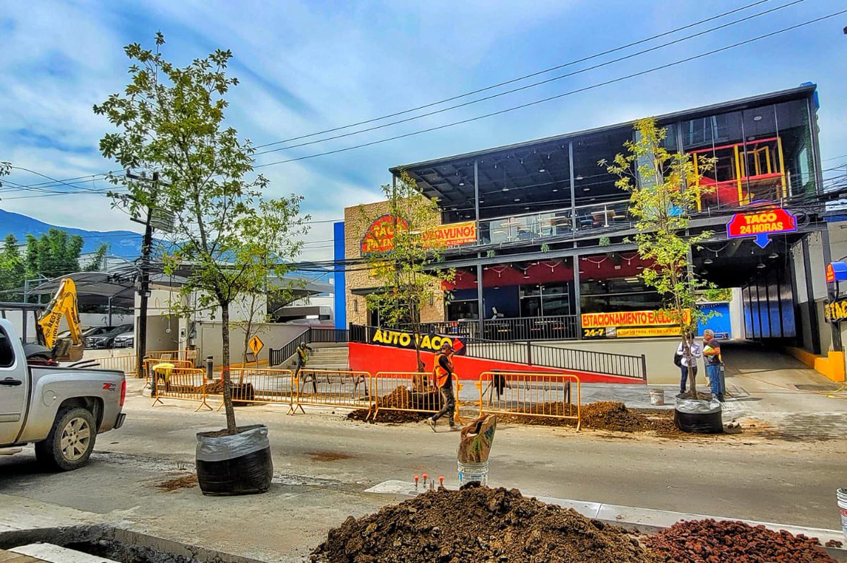 ¡Llegan los primeros árboles encinos robles de la región a las calles del renovado #DistritoCentroValle! 🌳🌳🌳

Estos árboles soportan los extremos del clima local y necesitan menos agua para sobrevivir.

¡Listos para darte aire limpio, sombra y reducir la temperatura!