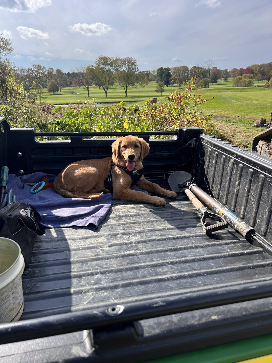 Michael Sheehan tweet media