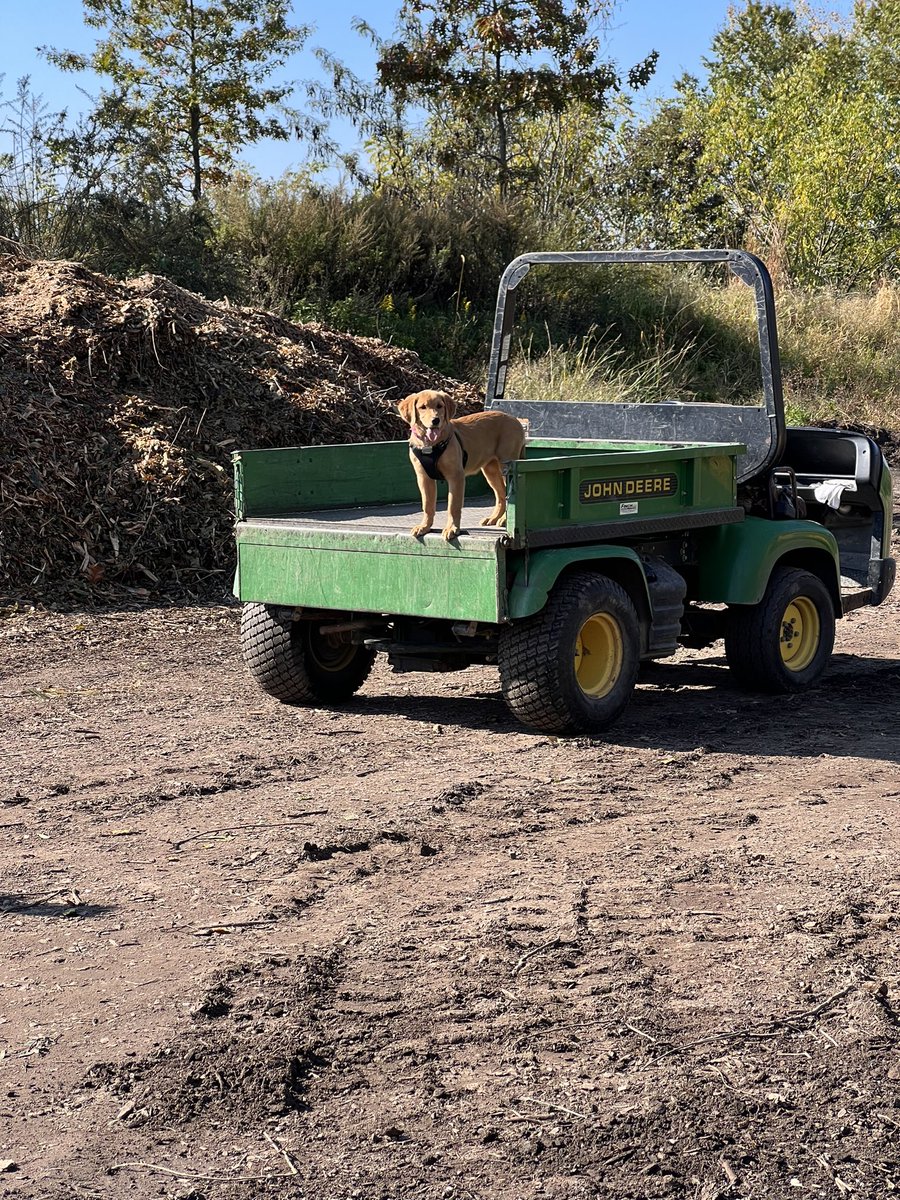 Michael Sheehan tweet media