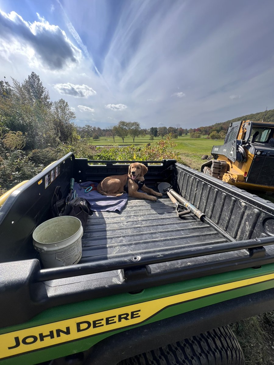 Michael Sheehan tweet media