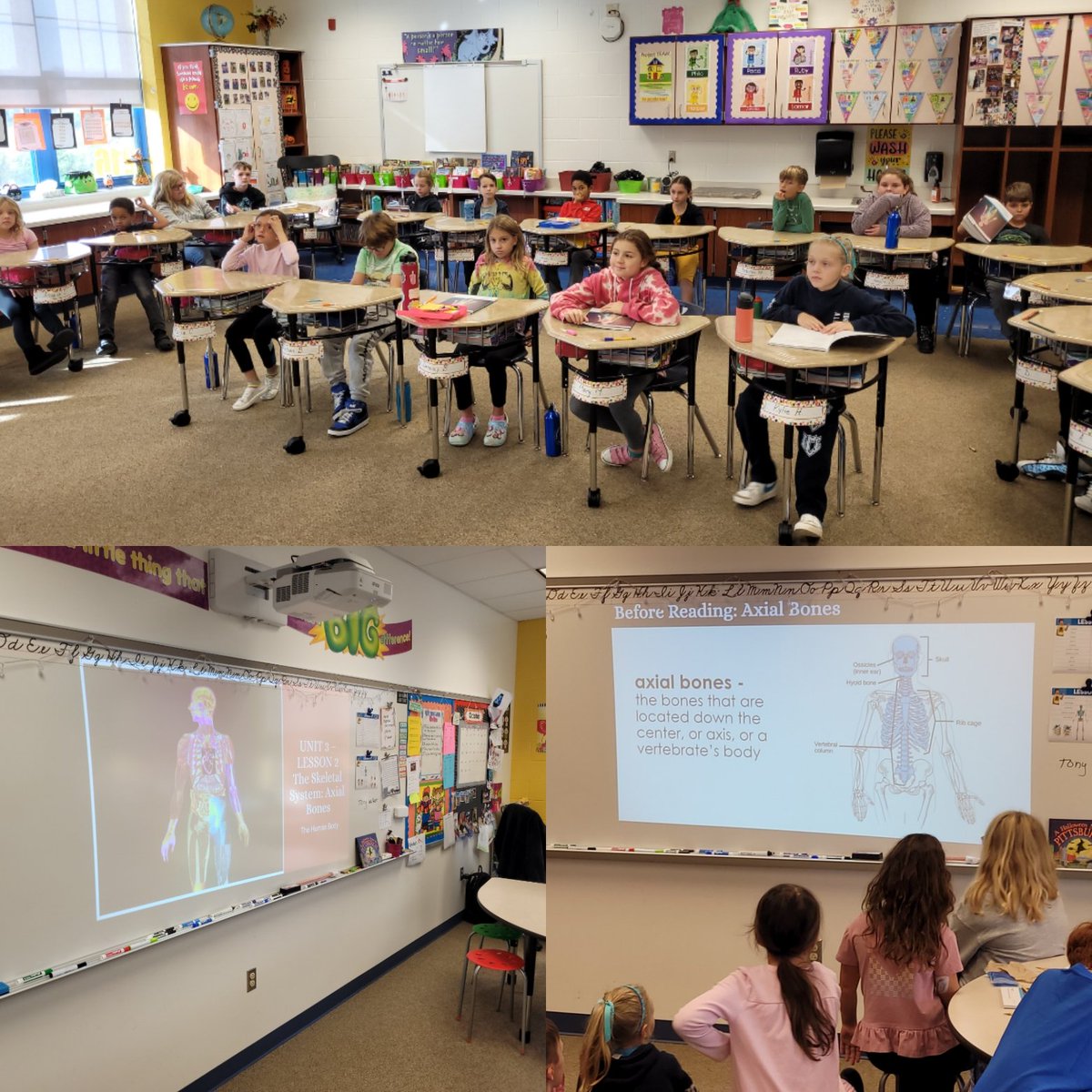Greg Taranto Ph.D. (@drtaranto) on Twitter photo 3rd graders in Mrs. Myers's ELA class are learning about the skeletal system as part of their Human Body System reading unit. #structuredliteracy <a href="/canon_mac/">Canon-McMillan School District</a> <a href="/MuseCMSD/">Muse Elementary School</a> 3rd graders in Mrs. Myers's ELA class are learning about the skeletal system as part of their Human Body System reading unit. #structuredliteracy <a href="/canon_mac/">Canon-McMillan School District</a> <a href="/MuseCMSD/">Muse Elementary School</a>
