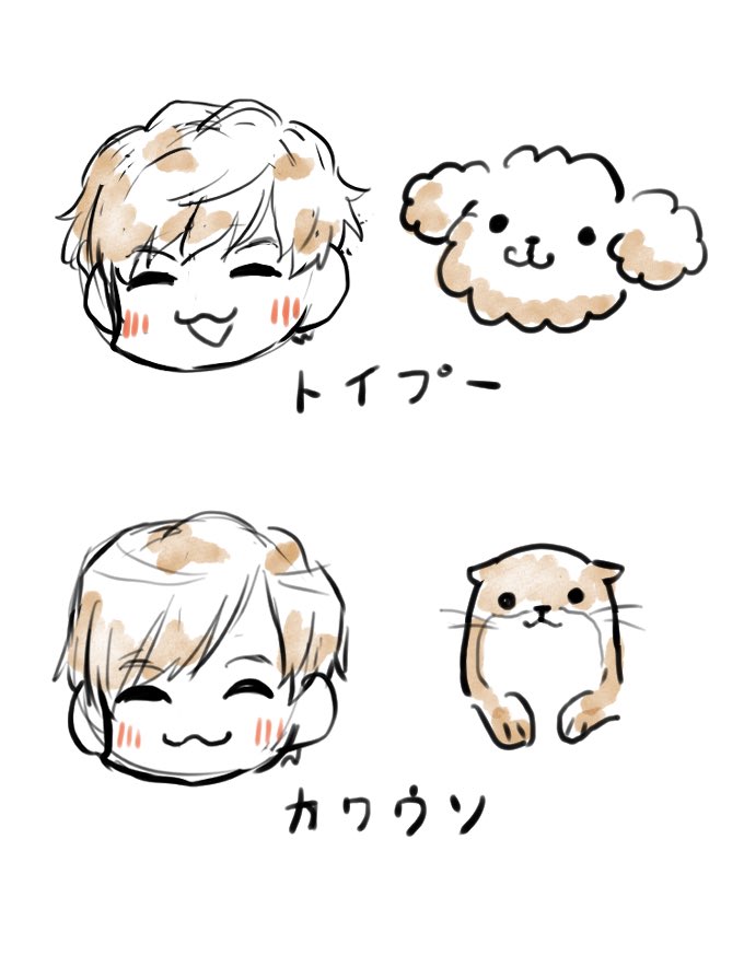 ykmn888's tweet photo. くそぅ!!どっちの兄やんも大好きだｯｯｯ！！！ https://t.co/ppfBATA84N