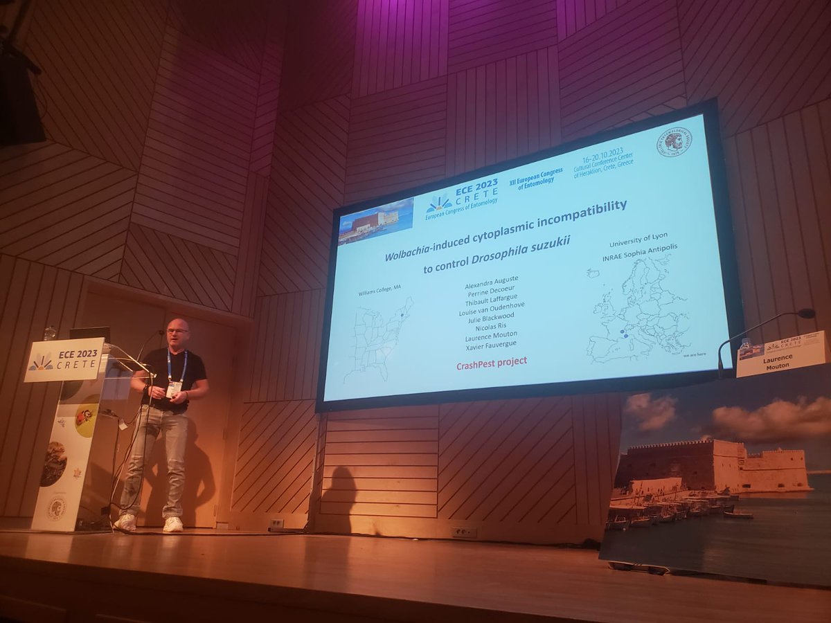 INRAE_Lutte_Bio's tweet photo. The @SAgrobiotech team “Recherche &amp; Développement en Lutte Biologique » well represented at @ece2023 with :
- BOUT Alexandre: Diversity of egg parasitoids of #stinkbug and #biological_control
- FAUVERGUE Xavier: #Drosophila_suzukii, #Wolbachia and Incompatible Insect Technique https://t.co/xgSSQFzXhe