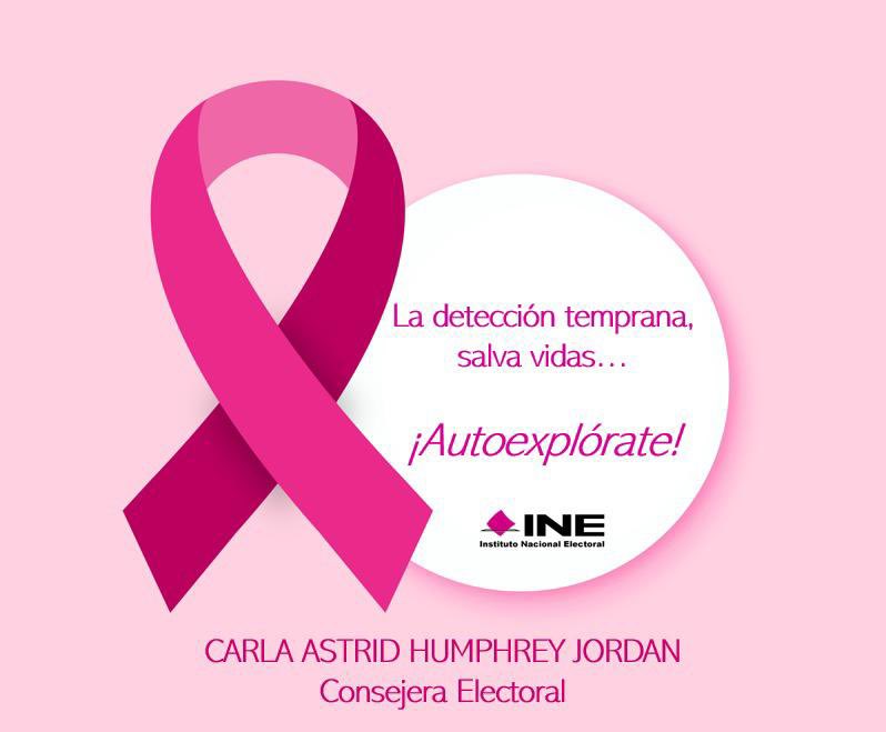 C_Humphrey_J's tweet photo. #HOY se conmemora el #DíaInternacionalDeLaLuchaContraElCáncerDeMama con el objeto de hacer conciencia sobre la detección temprana de este tipo de cáncer. Recuerda autoexplorarte periódicamente para prevenirlo o en su caso atenderlo y combatirlo 💗💗
#TócateParaQueNoTeToque https://t.co/iGgxrBApHB