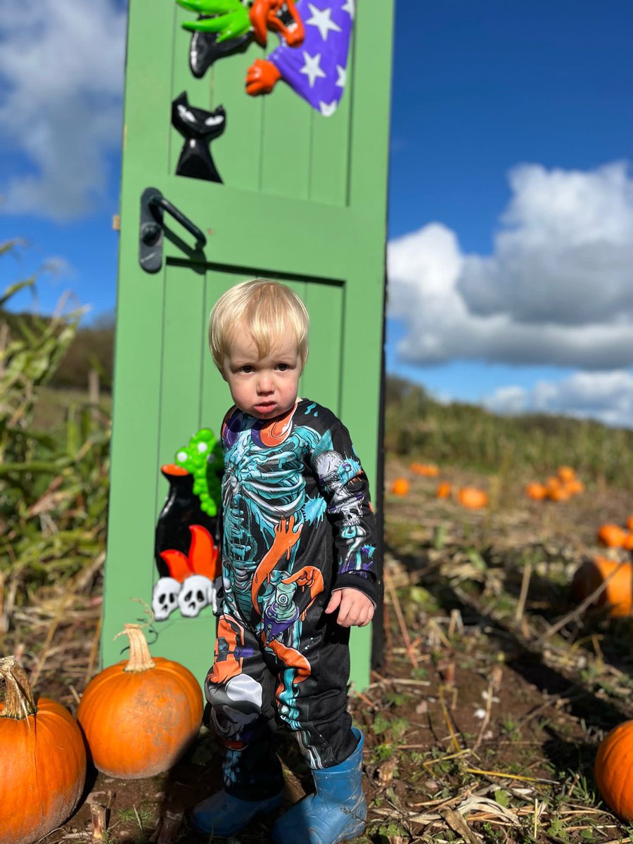 Cantref's tweet photo. Ready for a pumpkin-packed adventure? Join Cantref's Pumpkin Festival! Shows and activities every 1/2 hr. Free pumpkin for every child 
Dogs Welcome

Don't miss out – secure your tickets now and create cherished memories with your loved ones
#pumpkinpatch 
https://t.co/Yo1tdKQp85 https://t.co/oVlwHAAznh