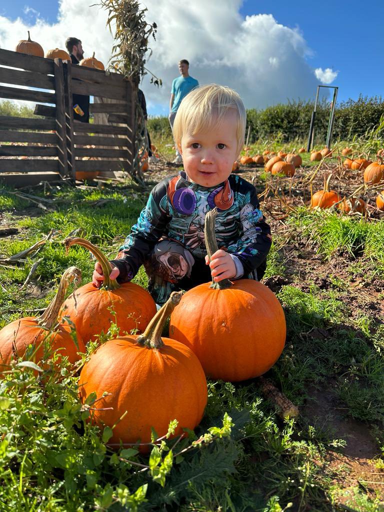 Cantref's tweet photo. Ready for a pumpkin-packed adventure? Join Cantref's Pumpkin Festival! Shows and activities every 1/2 hr. Free pumpkin for every child 
Dogs Welcome

Don't miss out – secure your tickets now and create cherished memories with your loved ones
#pumpkinpatch 
https://t.co/Yo1tdKQp85 https://t.co/oVlwHAAznh