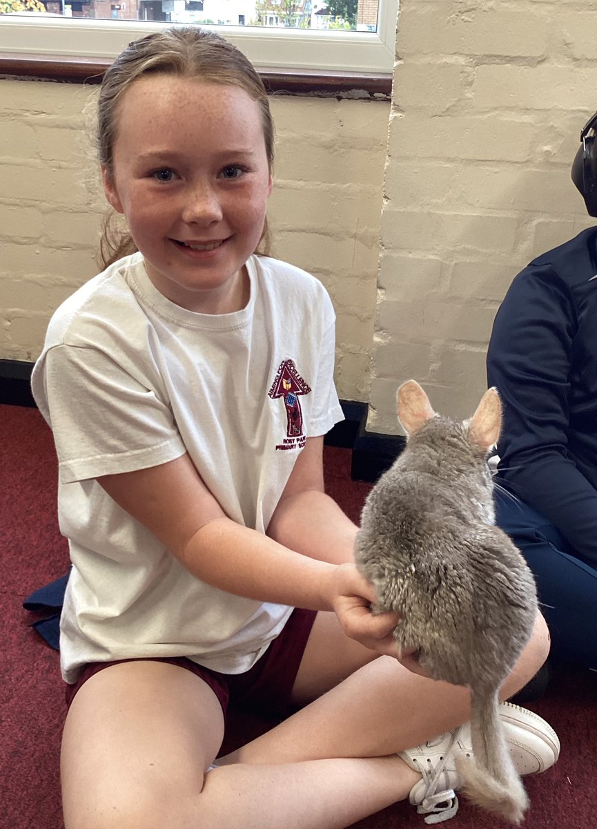 Year6RobyPark's tweet image. This morning we had a very exciting visit from @AnimalsTakeOver! Children were able to get up close and personal to a range of animals. We discussed classification and how the animals have evolved over time. 🐍🕷🐀🦉#RPEnrichment