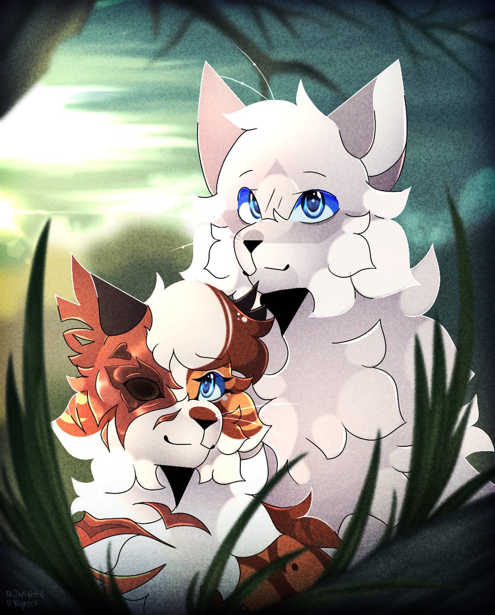 Jaylight_Night's tweet image. ✨Brightheart &amp;amp; Cloudtail✨

Redraw from The Ultimate Guide (2023)

#brightheart #cloudtail #warriorcats #digitalart