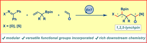 Three-Component Photochemical 1,2,5-Trifunctionalizations of Alkenes toward Densely Functionalized Lynchpins (<a href="/J_A_C_S/">J. Am. Chem. Soc.</a>): pubs.acs.org/doi/full/10.10… (<a href="/GloriusFrank/">Frank Glorius</a>).