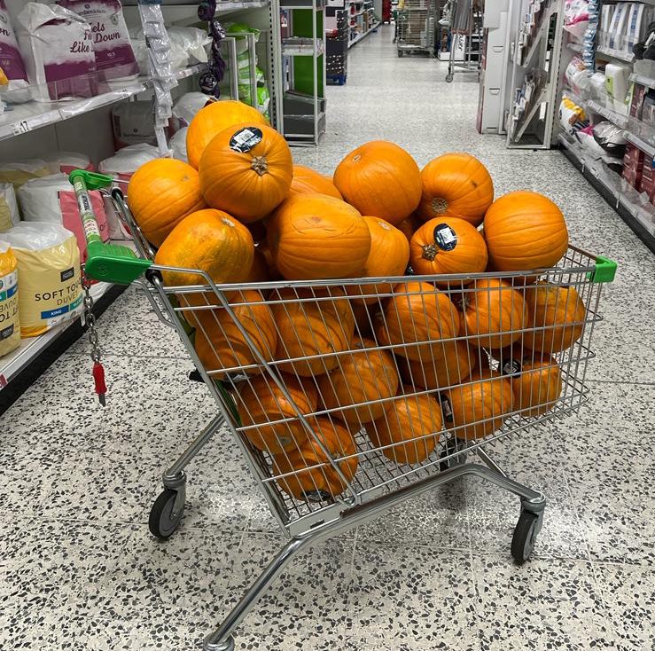 Knowle DGE tweet media