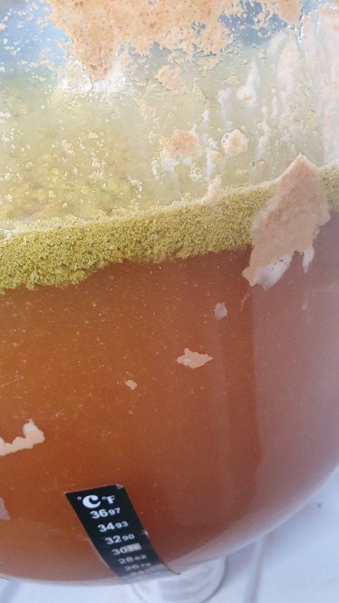 Scullman Brewing Co tweet media