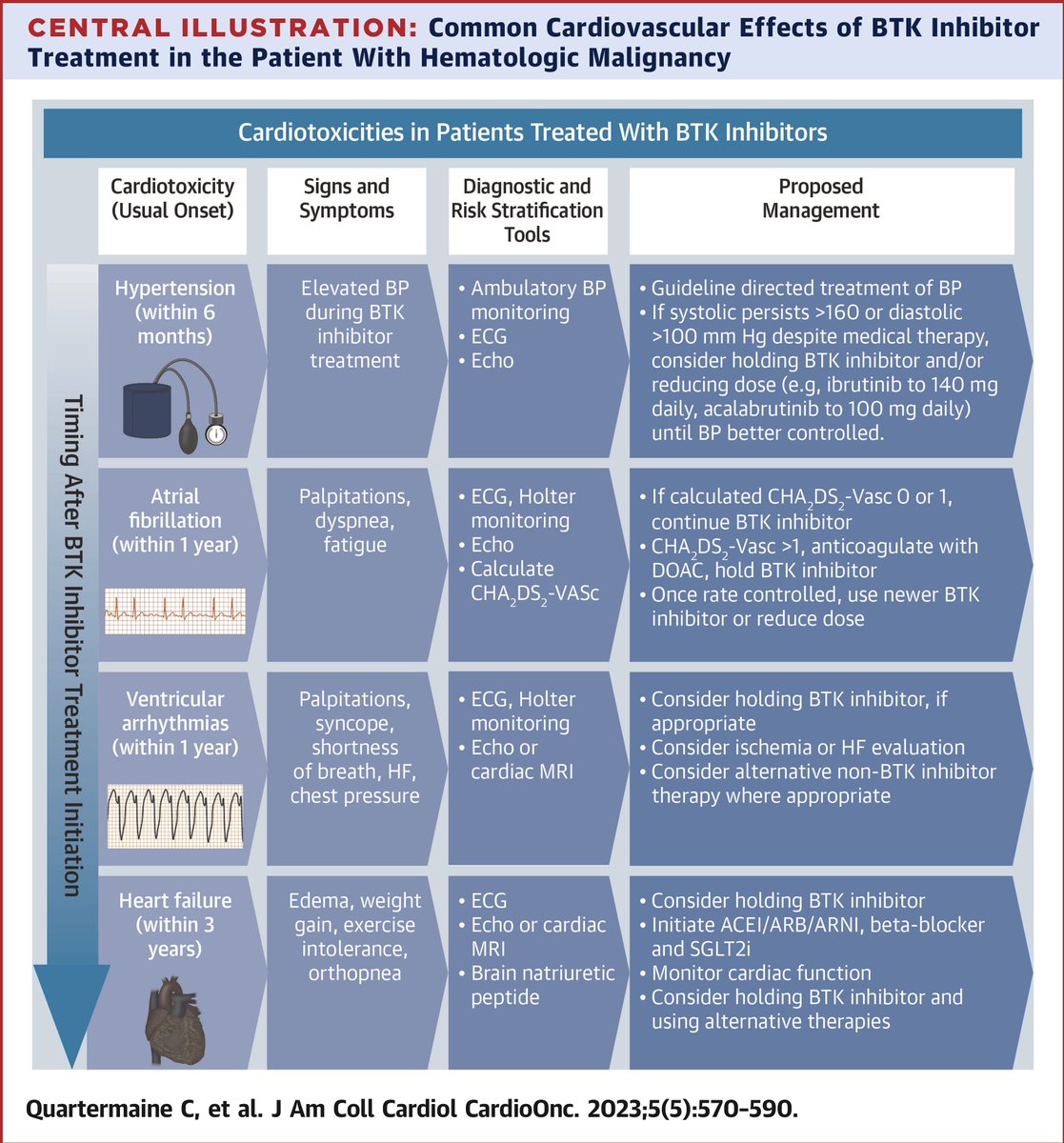 This #JACCCardioOnc state-of-the-art review examines the current state of evidence, including incidence rates, risk factors, mechanisms, & management strategies of CV toxicities w/ #BTK inhibitors & other #CLL therapies. bit.ly/491kPTj #CardioOnc #leusm