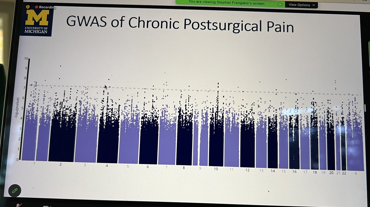 Chad M Brummett (@drchadb) on Twitter photo Terrific presentation from <a href="/UMichAnesthesia/">Michigan Anesthesiology</a> faculty <a href="/NIH_NIAMS/">NIAMS</a> K08 awardee <a href="/DrFrangakis/">Stephan Frangakis, M.D, Ph.D.</a> for his presentation of the genetics of post-surgical #pain for the <a href="/a2cps_pain/">A2CPS - Acute to Chronic Pain Signatures</a> network.
Included was his recent meta-analysis published in <a href="/_Anesthesiology/">Anesthesiology</a>
pubs.asahq.org/anesthesiology… Terrific presentation from <a href="/UMichAnesthesia/">Michigan Anesthesiology</a> faculty <a href="/NIH_NIAMS/">NIAMS</a> K08 awardee <a href="/DrFrangakis/">Stephan Frangakis, M.D, Ph.D.</a> for his presentation of the genetics of post-surgical #pain for the <a href="/a2cps_pain/">A2CPS - Acute to Chronic Pain Signatures</a> network.
Included was his recent meta-analysis published in <a href="/_Anesthesiology/">Anesthesiology</a>
pubs.asahq.org/anesthesiology…