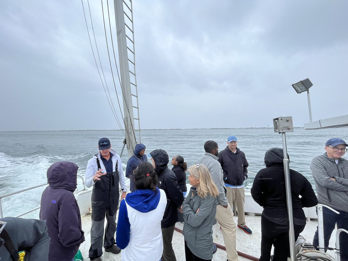 Rachel Noble tweet media