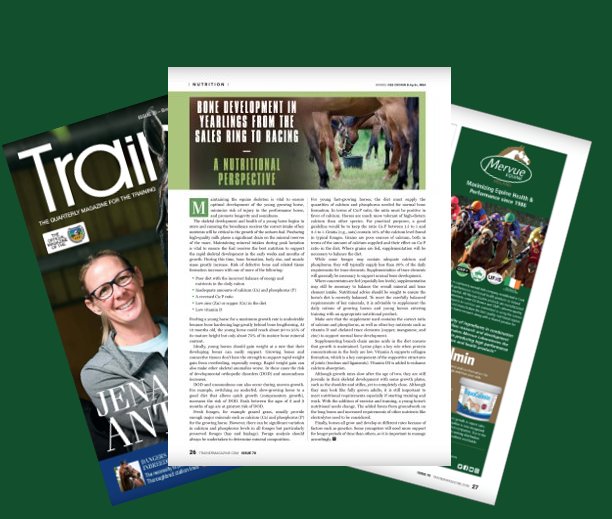 Read Des Cronin's article on Bone Development in Yearlings  P26 Trainer Magazine issuu.com/anderson-co/do…... Vital role of maintaining the equine skeleton, optimal development, minimise risk of injury, & promote longevity & soundness #equinenutrition #EquineHealth #mervueequine