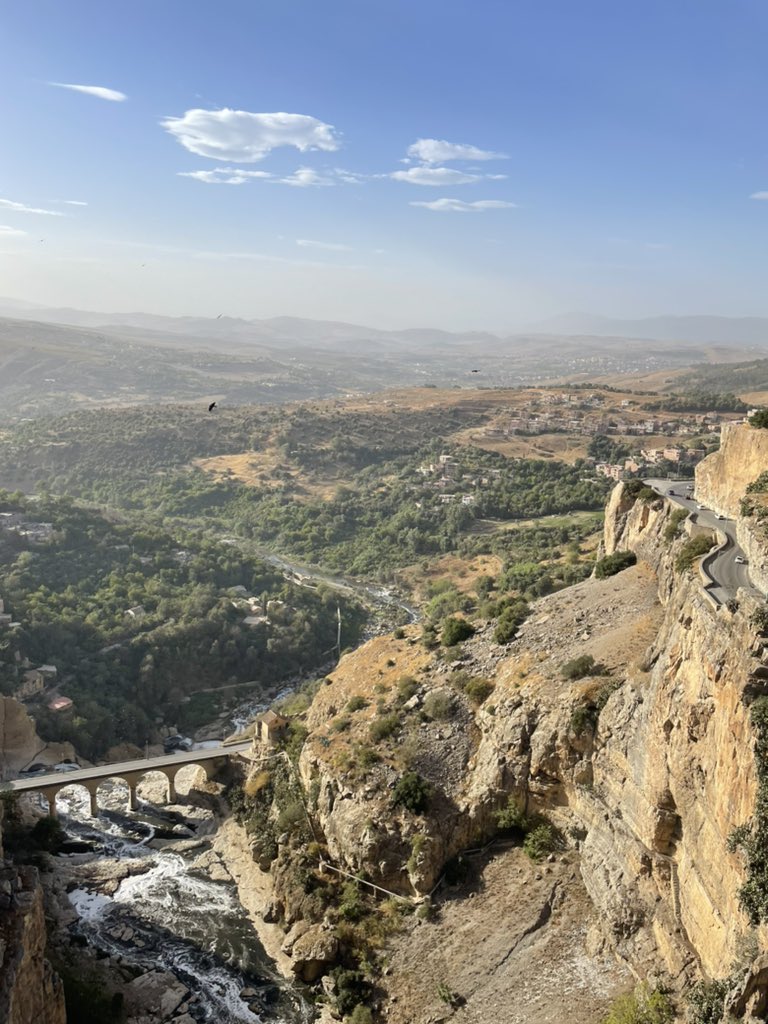 Katrine From Høyer tweet media