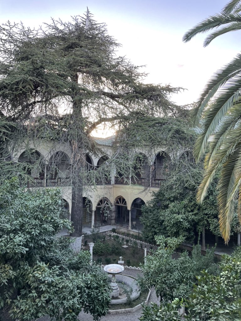 Katrine From Høyer tweet media