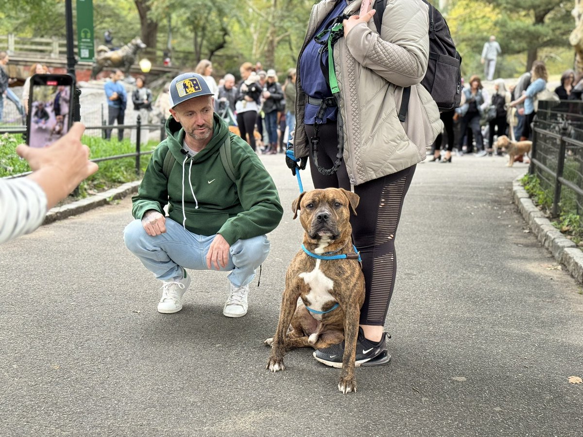 He was very brave to come along with so many new faces and behaved himself so well. Hes a lovely big goofball who would love his own humans for good. 🥰🙏