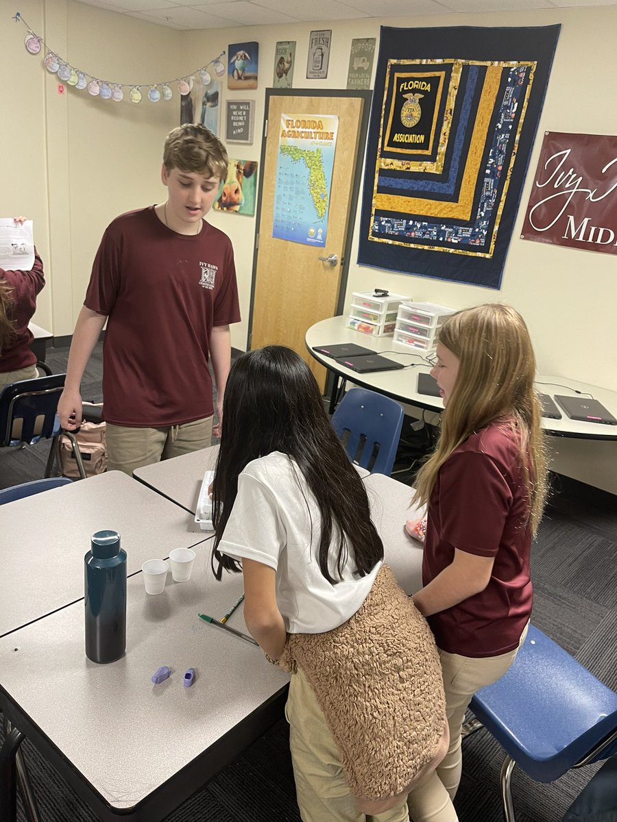 potter_252's tweet photo. Learning about plant nutrients with a lab. Fun times in our @IvyHawnSuhr Intro to Ag class. #ivyhawnproud https://t.co/II7cButvY0
