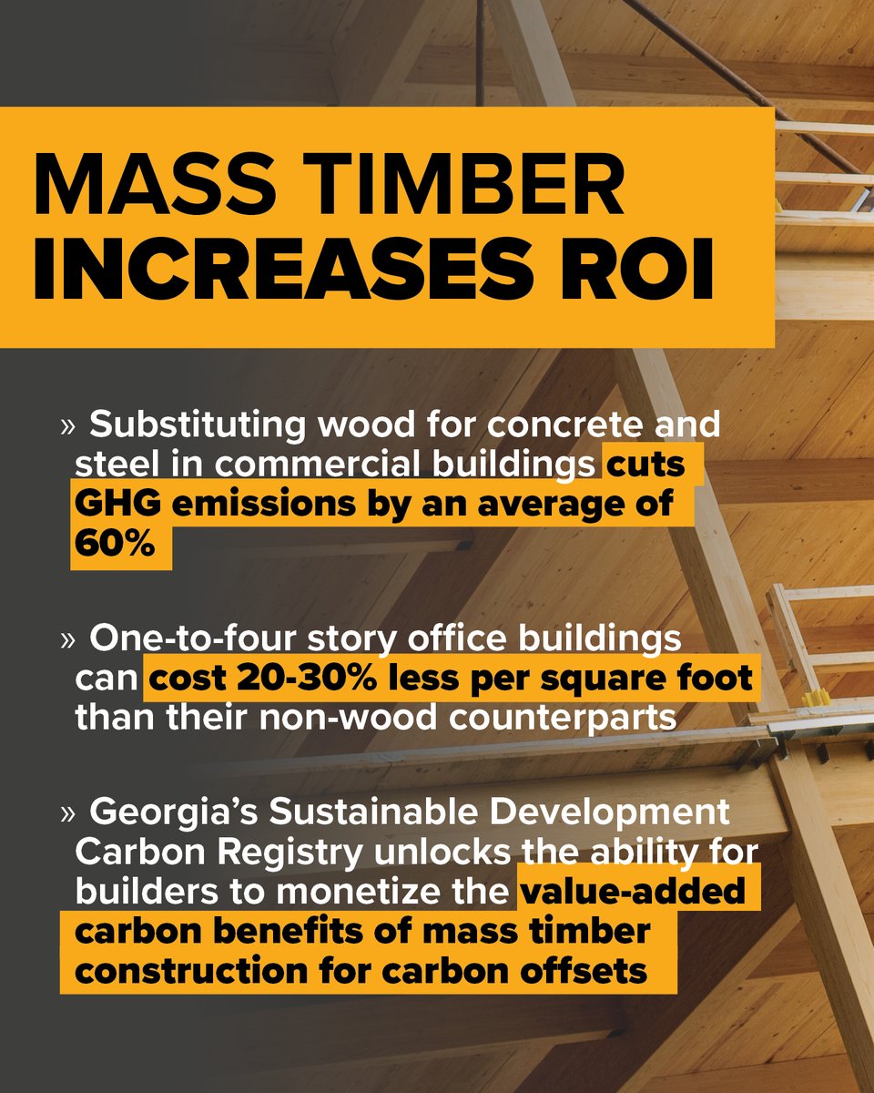 Georgia Forestry Foundation tweet media