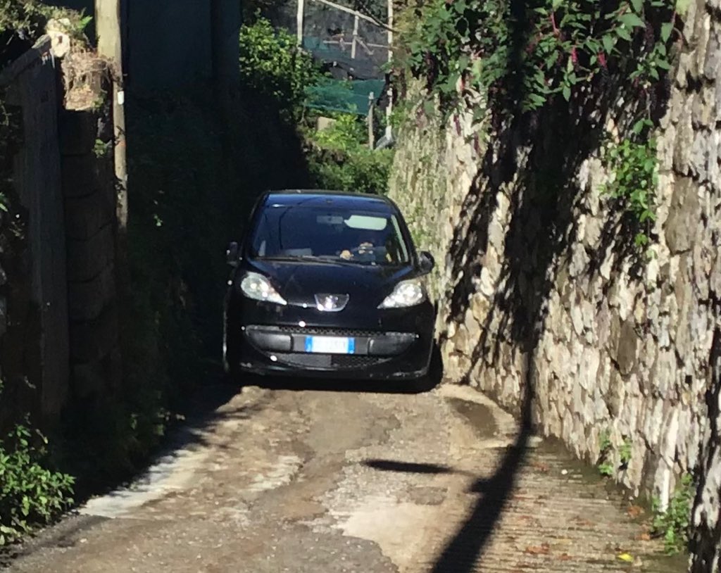 robsonandcowan's tweet photo. and now we realise why so many Sorrento cars are bumped and scraped,it’s amazing where they take them #OnlyInItaly https://t.co/c7JxEcahRs