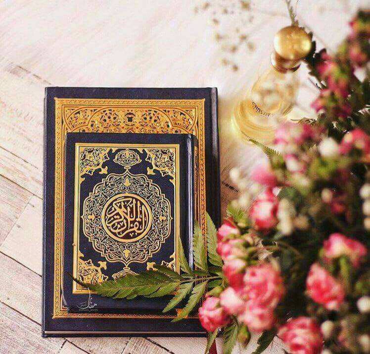 BalushiHsn's tweet photo. *إذا كانت الحيـاة متعبـة ، أذهب إلى القرآنِ حتى تَسقطَ الباء* https://t.co/rK4Jqf26Wf