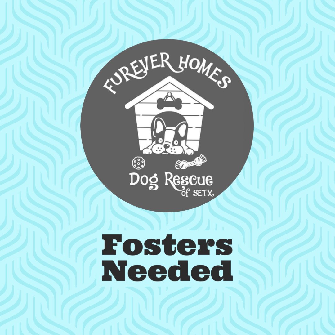 Send us a message ! 🐶