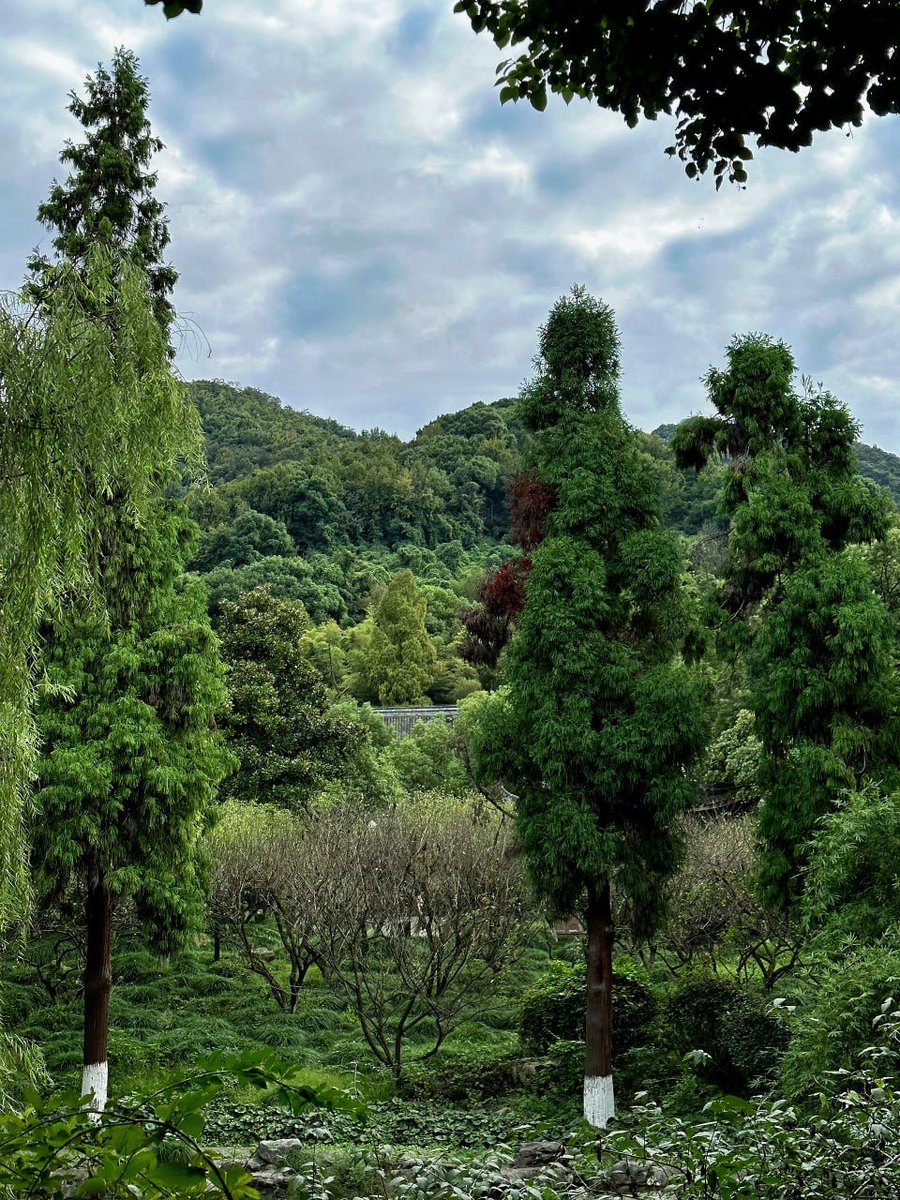 Don't always complain that life is not lucky enough. It's because you owe life some effort. Every present that you hate has a past where you didn't work hard enough. Whether the future is beautiful or not depends on whether you work hard now.