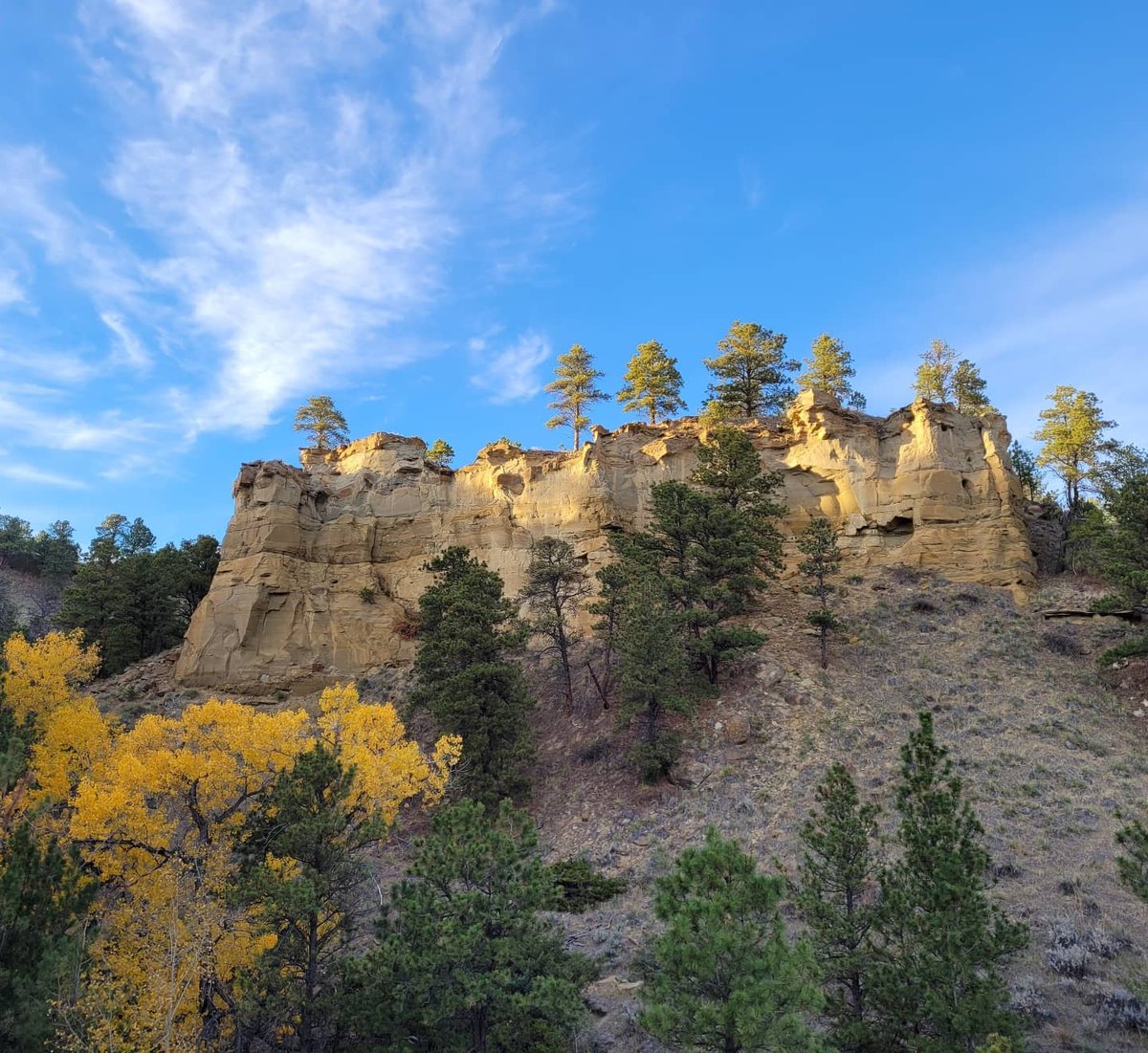 NEMTTOURISM's tweet image. Let Missouri River Country surprise you.

📷 instagram.com/kelsey_of_malta

#MissouriRiverCountry #NortheastMontana #MoreRoomToRoam #TravelMontana #ExperienceMontana #406 #LastBestPlace #BigSkyCountry #MontanaMoment #MontanaGram #OnlyInMontana #EasternMontana⁠