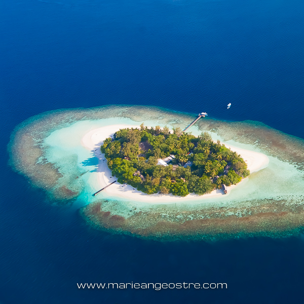 Survol en hydravion d’un îlot des Maldives, départ de Malé (la capitale) vers l'un des atolls poissonneux de cet archipel de l'océan Indien. Si vous connaissez le nom de cet îlot je suis à l'écoute !
📍 <a href="/maldivestourism/">maldives</a> 🇲🇻 #Maldives #indianocean #travelpics #travelwriter