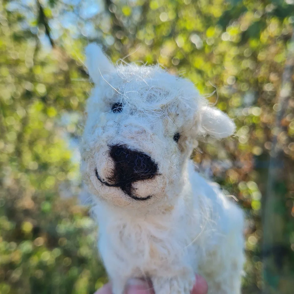 This is Percy the Grey Faced Dartmoor who has been made with some of his own fleece. He is a much loved family pet. #NeedleFelted #Sheep #WoolSculpture #LincsConnect #WomenInBizHour