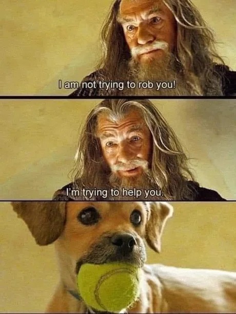 LOTRCulture's tweet photo. Let me throw it for you! 

#memes #LOTR #lordoftherings #movies https://t.co/D1UZnl08lo