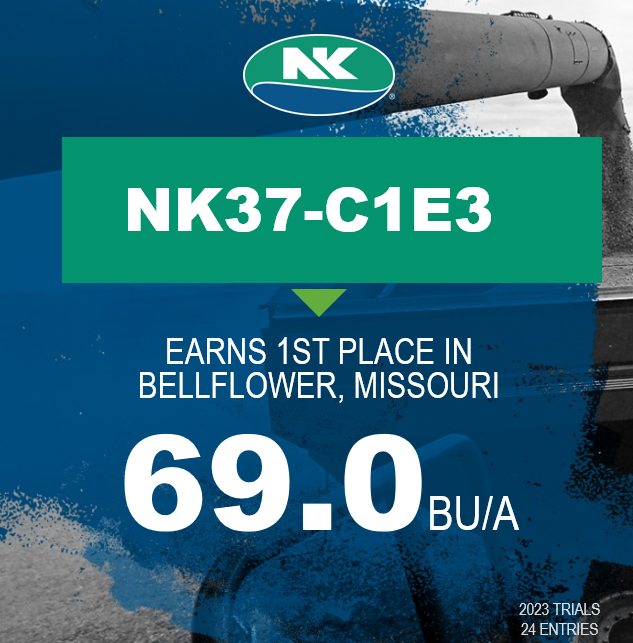 NK_Missouri's tweet image. 💥Another NEW NK Soybean gaining a lot of attention!  NK37-C1E3 has excellent standability with top end yield potential.  

#NKHarvest23  #SuccesswithNK  #Harvest23