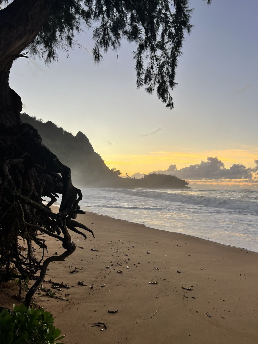 Makenna Lowe tweet media