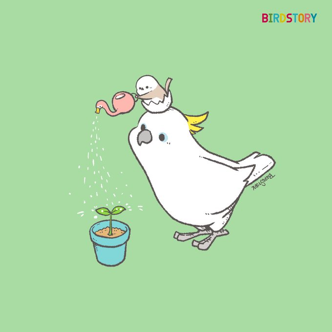 「no humans watering can」 illustration images(Latest)