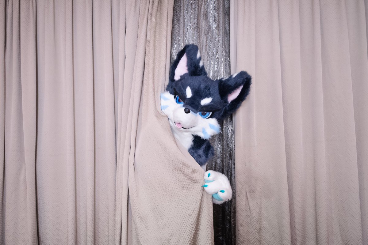 偷看！
#FursuitFriday #福瑞 #兽圈 #fury 
📷:<a href="/ylngxngln1/">Dragon星麟</a>
