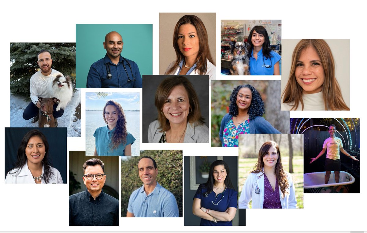 AAHAHealthyPet's tweet photo. Our vision is to help create a veterinary community that is representative of our society to make veterinary care more accessible to the Latinx community.” - Marina Tejada, DVM, LVMA  Outreach Director. Get to know these Latinx influencers in vet med 🔗: https://t.co/2oKOdmSIFv https://t.co/VLb7iQHe0o