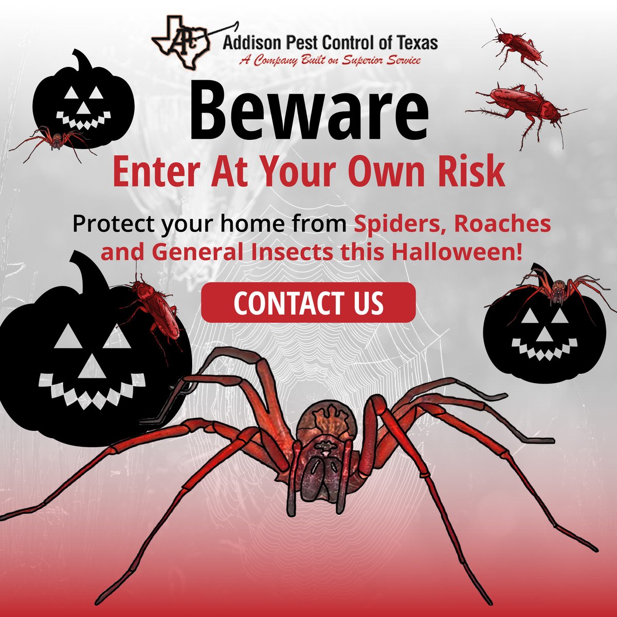 AddisonPest's tweet image. Beware of pests this spooky season! 🎃 Halloween decorations can be scary, but creepy crawlers give a REAL fright! 🕷️ Protect your home from spiders, roaches and general insects this Halloween. Call us today! #spookyseason #northtexas #pestcontrollife #happyhalloween