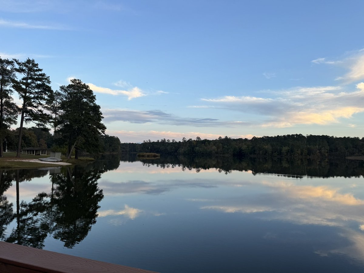 Ashley Diann Boyd tweet media