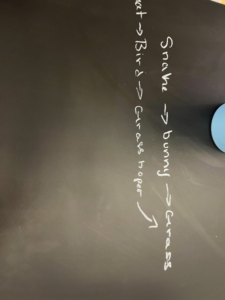 Shelby Cook tweet media