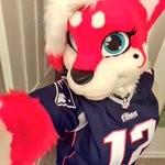 Photo by Prednisone Puppy (@DaRhedDol)