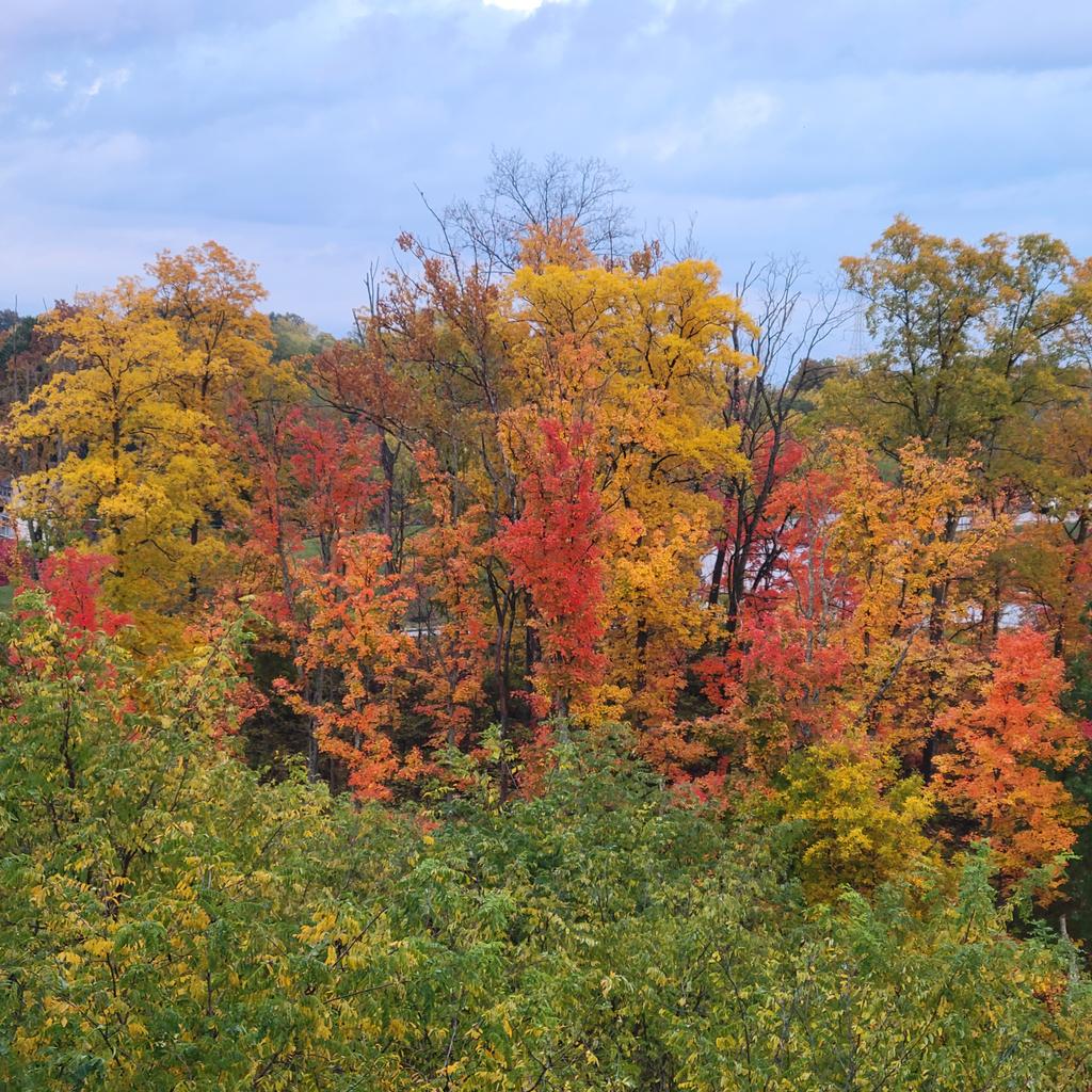 Fall's my favorite time of the year. I just wish it lasted longer. I love the beauty of the trees as their leaves change colors. 🍂 <a href="/WCPO/">WCPO 9</a> <a href="/wxSpinner89/">Brandon Spinner - Meteorologist</a>